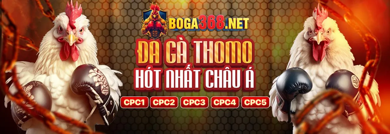 Sân đấu gà kịch tính tại 90ok game bài